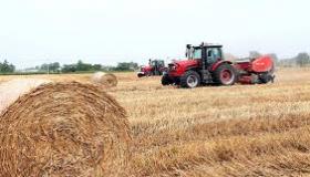 استخدامات القش.