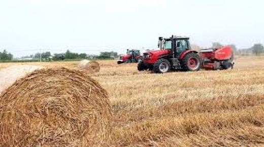 استخدامات القش.