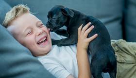 المعاني الكامنة وراء سلوك الكلب الغريب.