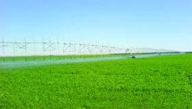 المساحات (فدان)