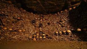 ميلوس: سراديب الموتى التي تسبب الرهبة