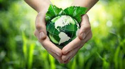 النظام البيئي.