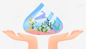 حماية بحارنا