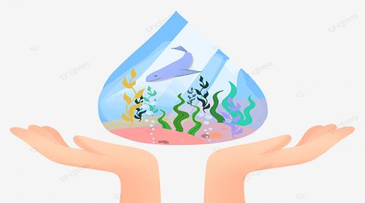 حماية بحارنا