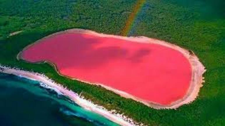 الظاهرة الغريبة مع البحيرة الوردية في أستراليا