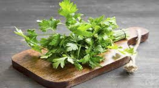 إليك ما عليك القيام به إلى الأبد البقدونس الطازج