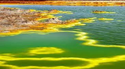 هل يعيش أي شيء في هذا المكان المرعب؟