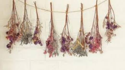 كيفية تجفيف الزهور: 5 طرق لتجفيف الزهور.