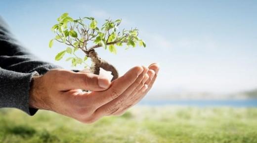 طرق يرى الكرمون العالم بشكل مختلف