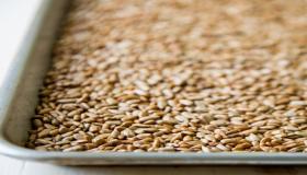 قد أكون قد حصدت إمدادات مدى الحياة من بذور عباد الشمس.