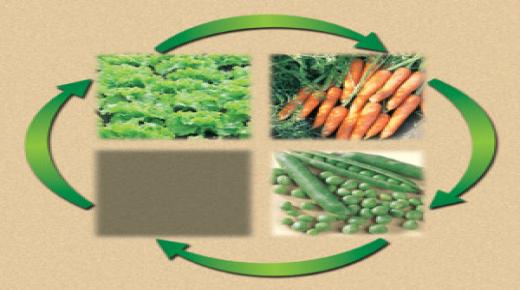 تناوب المحاصيل