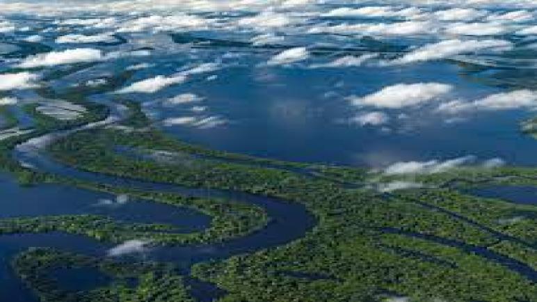 الأمازون: أعظم نهر في الأرض