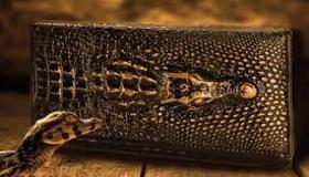 السمات المميزة لجلد التمساح