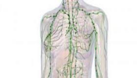 التدليك اللمفاوي