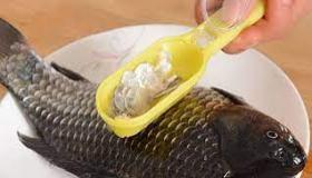 حراشف السمك