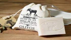 ما هي الفوائد الصحية لحليب الحمير؟