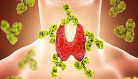 حمية هاشيموتو