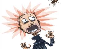 رهاب الحيوانات والحشرات