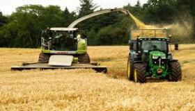 زراعة القمح