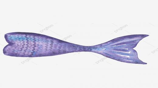 زعانف السمك