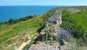 الوادي الإيطالي الذي يتحول كل عام إلى “بحر” ملون من الزهور البرية