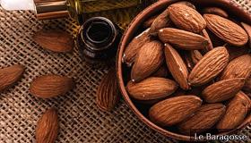 زيت اللوز: حليف كبير للبشرة الجافة