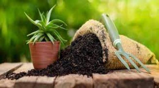 أسمدة عضوية طبيعية