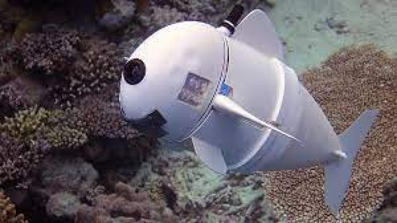 تقوم أسماك الروبوت بمزامنة السباحة مثل قطعان حقيقية