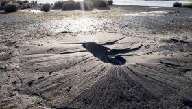 سيلان التربة