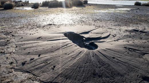 سيلان التربة