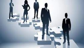 أنواع الشركات.