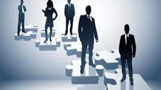 أنواع الشركات.