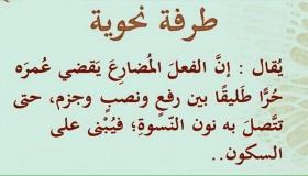 طرفة نحوية..تؤصل دورك أيتها الأنثى