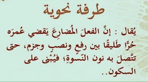 طرفة نحوية..تؤصل دورك أيتها الأنثى