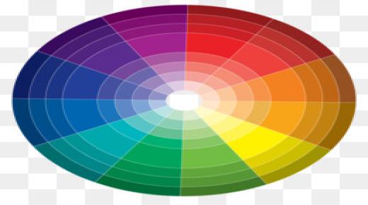 أساسيات اللون