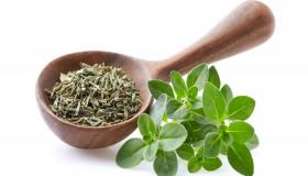 تقلبات الدهون كلاعبين رئيسيين في تكيف النبات مع بيئتهم