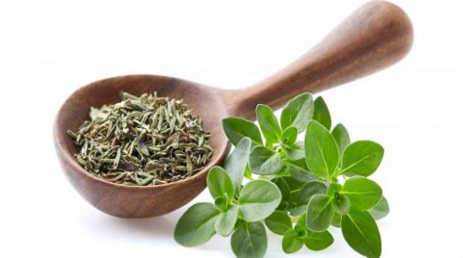 تقلبات الدهون كلاعبين رئيسيين في تكيف النبات مع بيئتهم