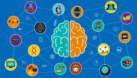 علوم الأعصاب: مساهمتها في التعليم