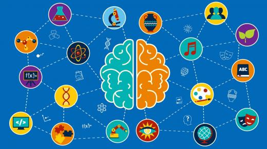 علوم الأعصاب: مساهمتها في التعليم
