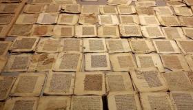 علم الوثائق.