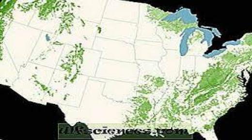 خرائط الغابات بالليزر