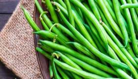 فاصوليا عريضة .