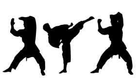 فنون القتال المختلطة