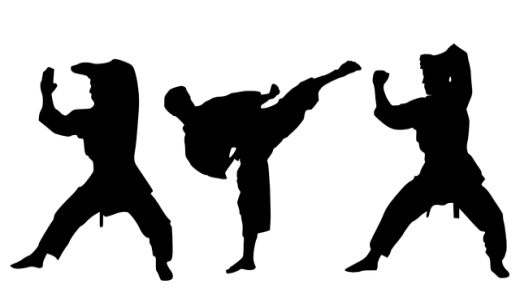 فنون القتال المختلطة