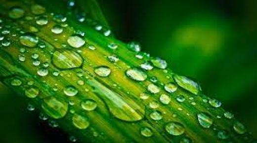 تكوين قطرات الندى