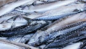 كم وكيف يجب أن تستهلك المأكولات البحرية؟