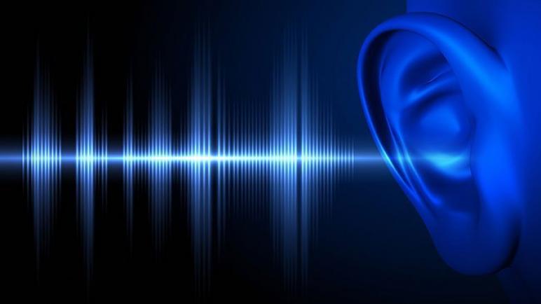 لماذا تعتبر الضوضاء من المخاطر الهامة في مكان العمل؟
