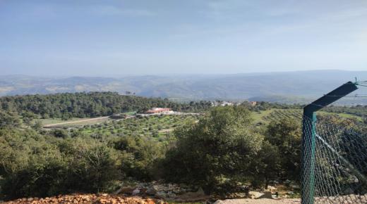 ليث ياسين لشراء وبيع الأراضي