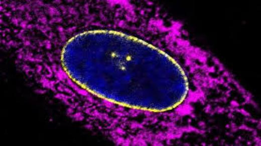 ما الفرق بين العمر البيولوجي والعمر الحقيقي؟