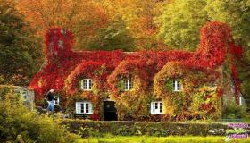 ماذا يخبرك منزلك عن صحتك؟